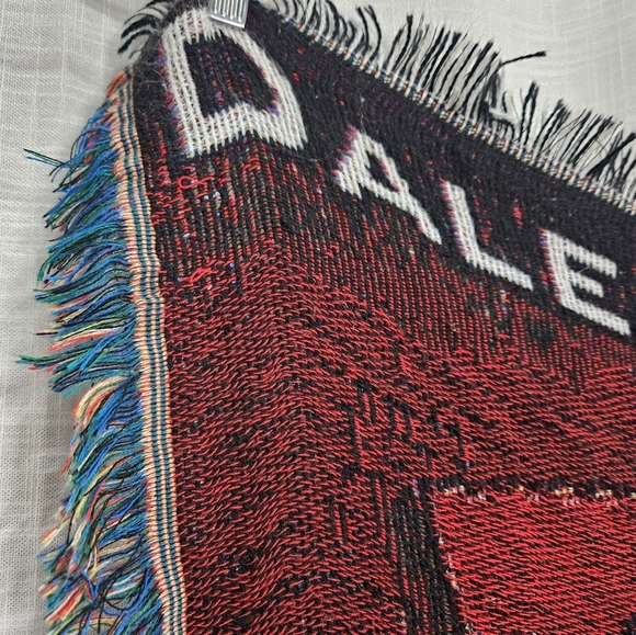 Dale Earnhardt Jr. NASCAR Tapestry Blanket - Picture 4 of 14